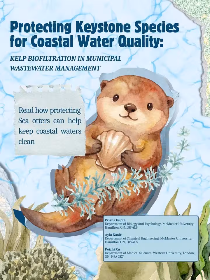 Protecting Keystone Species for Coastal Water Quality: Kelp Biofiltration in Municipal Wastewater Management cover image